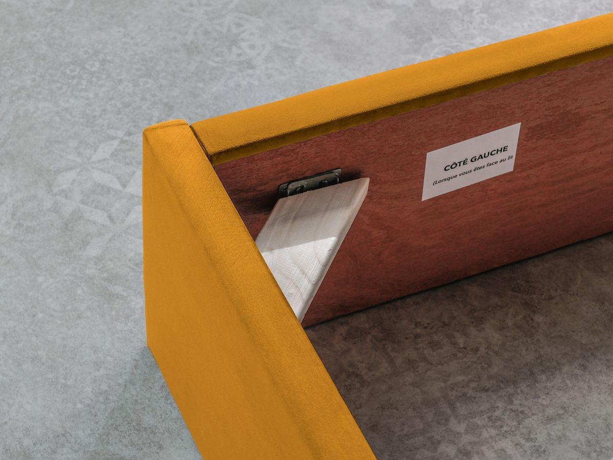 PALMYRE Fluwelen opbergbed