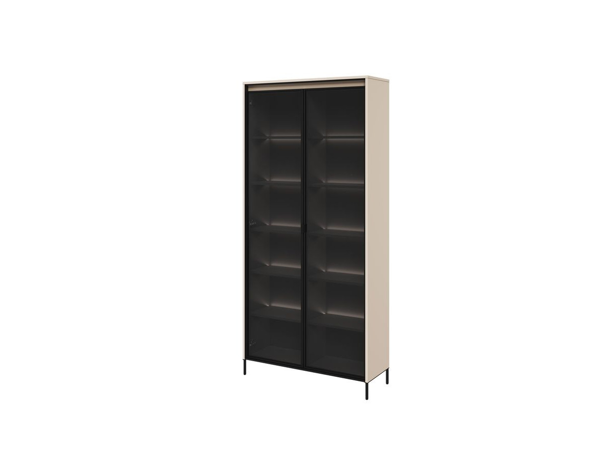 Vitrinekast LENARA H.196 cm 2 glazen deuren met LED