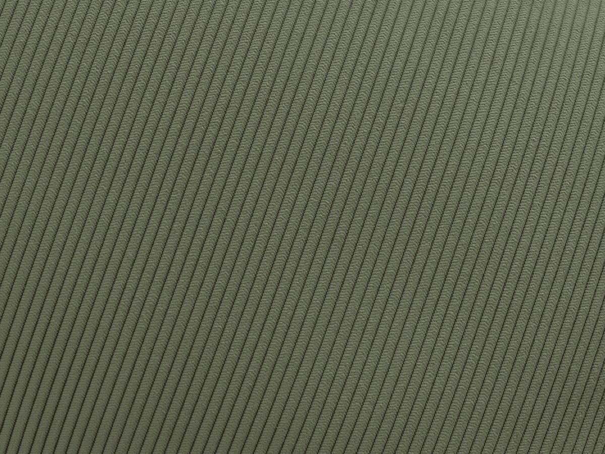 VELOURS CÔTELÉ FIN TYPE A