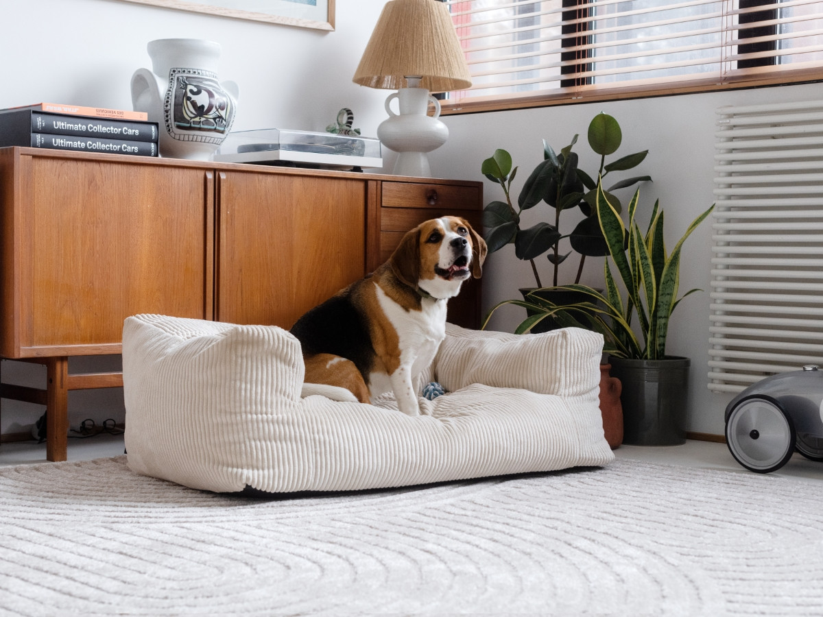 Panier pour chien SALTO velours côtelé