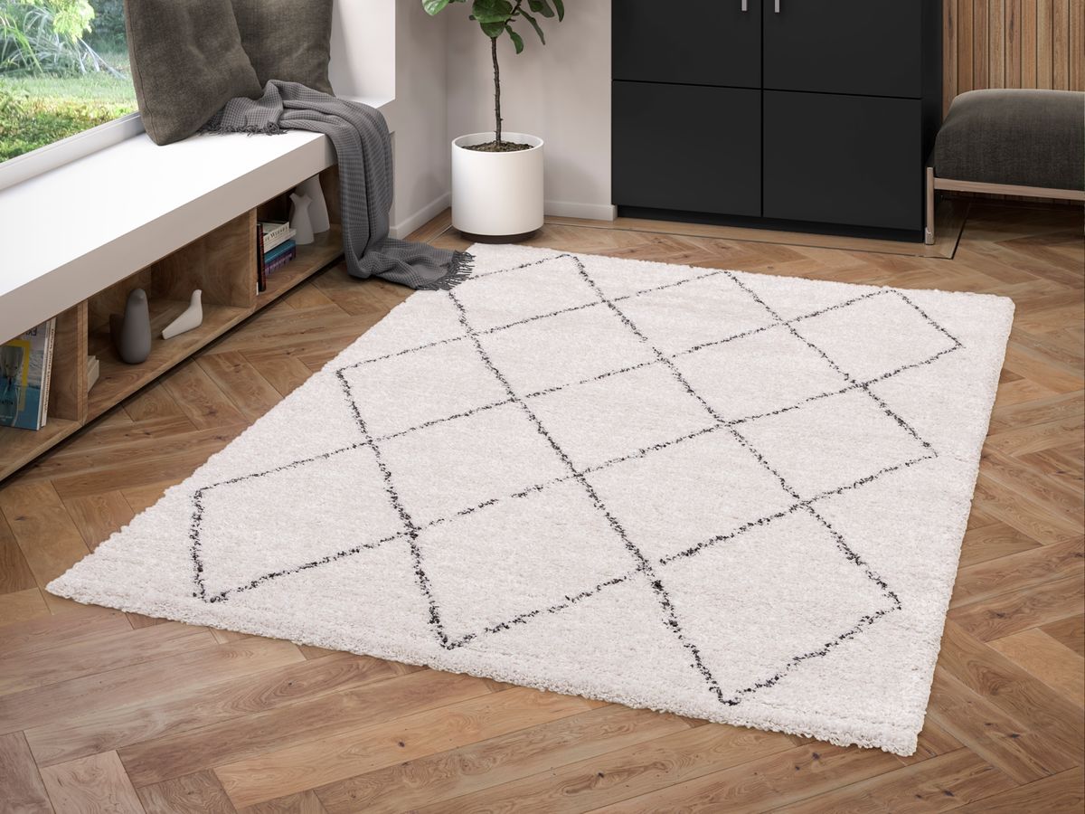 RENAUD langpolig vloerkleed met grafische patronen