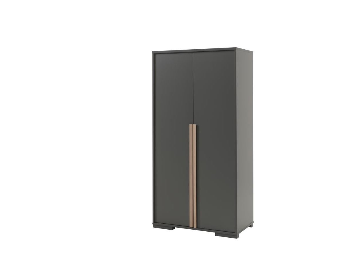 ALARIC 2-deurs kledingkast