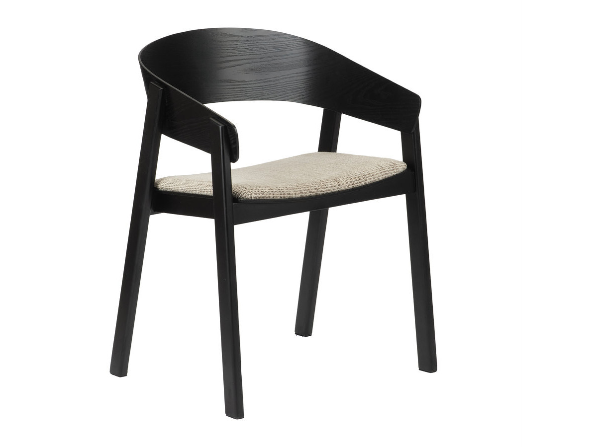 Lot de 2 chaises de table RANI avec accoudoir