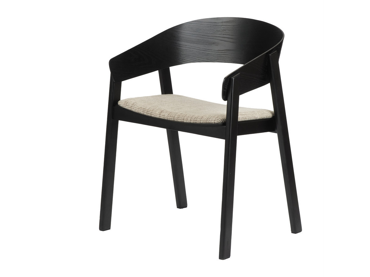 Lot de 2 chaises de table RANI avec accoudoir noir
