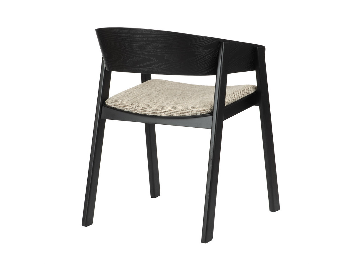 Lot de 2 chaises de table RANI avec accoudoir