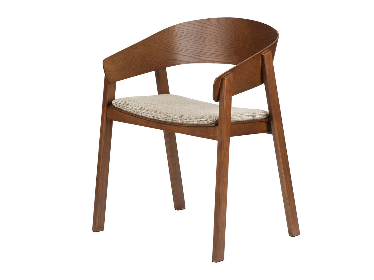 Lot de 2 chaises de table RANI avec accoudoir