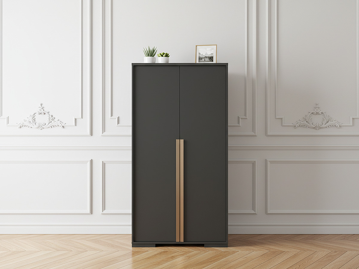 ALARIC 2-deurs kledingkast