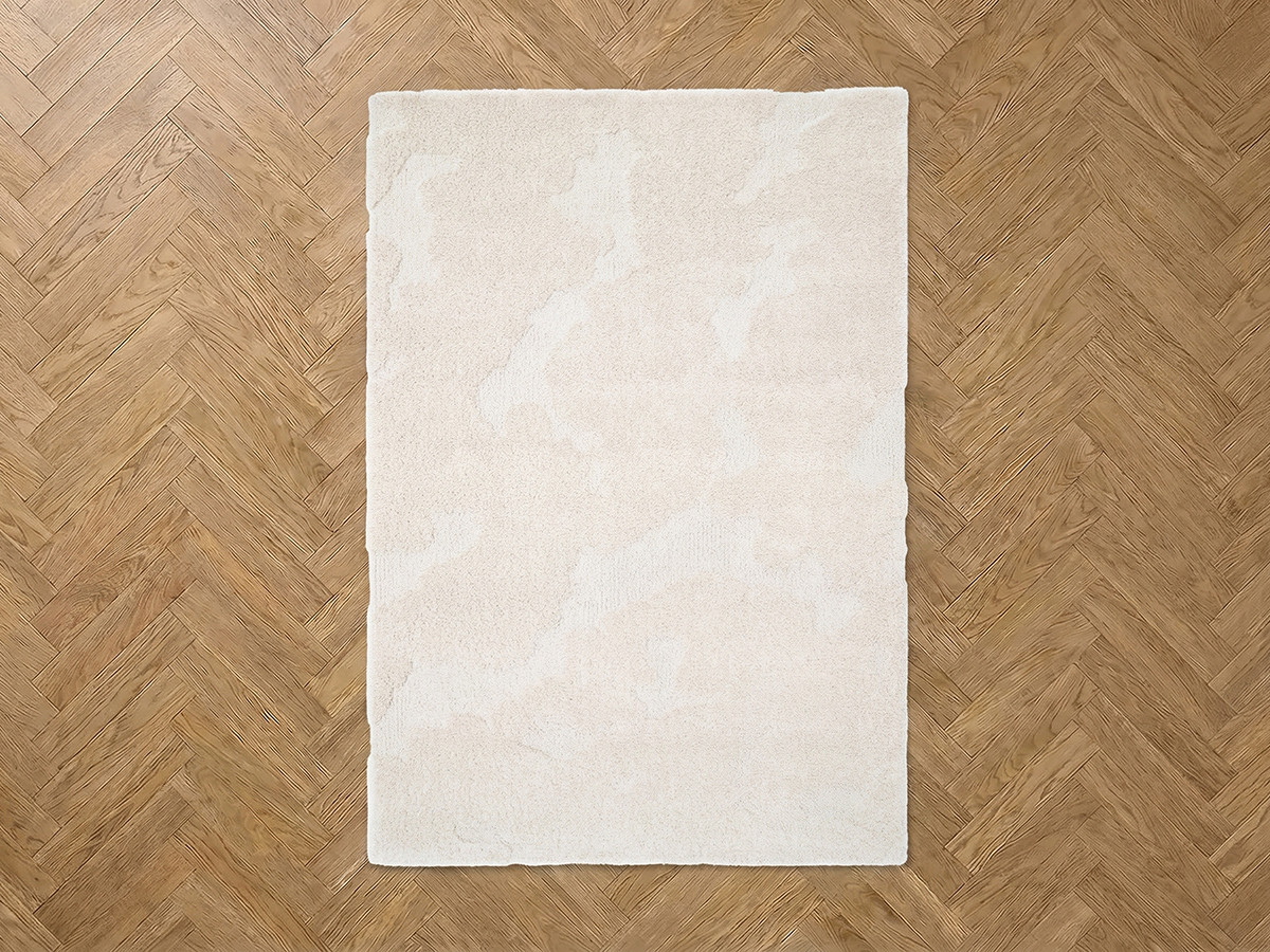Langharige vloerkleed EMBREN abstract motief