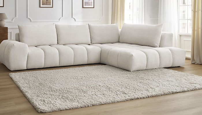 Un tapis rectangulaire avec un canap&eacute; blanc