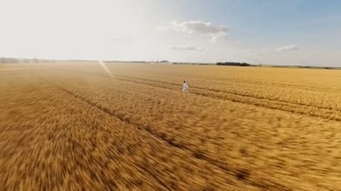 Des champs en Seine-et-Marne