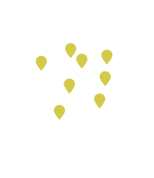 photo reseaux